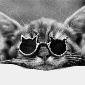 Meet your Posher, Beverly